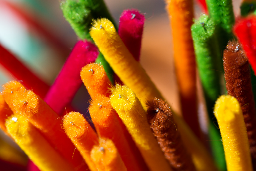Close-up of colorful pipe cleaners