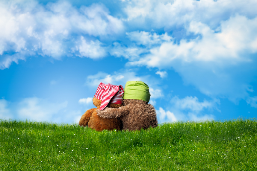 Teddy bear with arm around another teddy bear, comforting gesture, blue sky and green grass