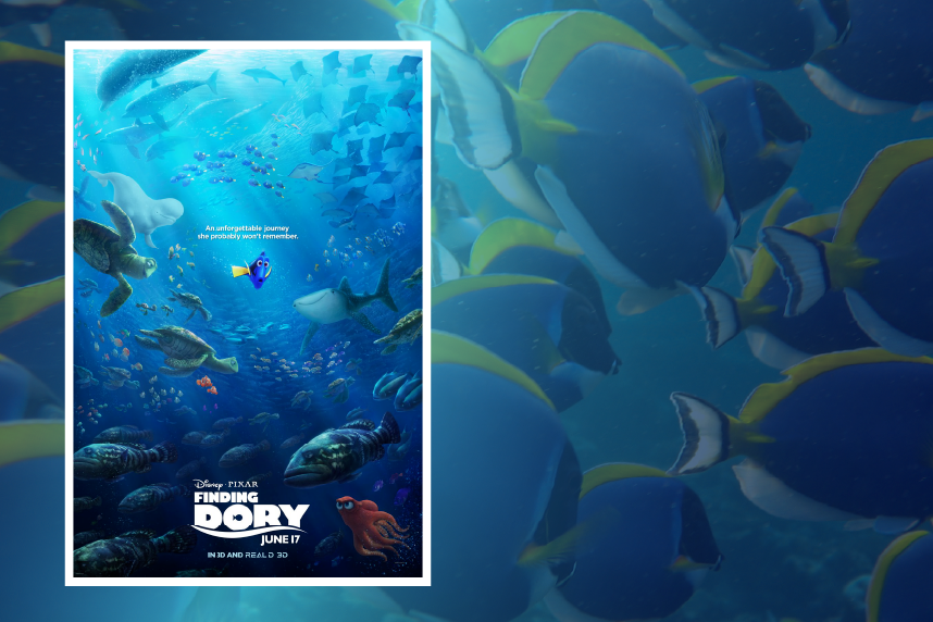 Poster: Finding Dory over background of tang fish