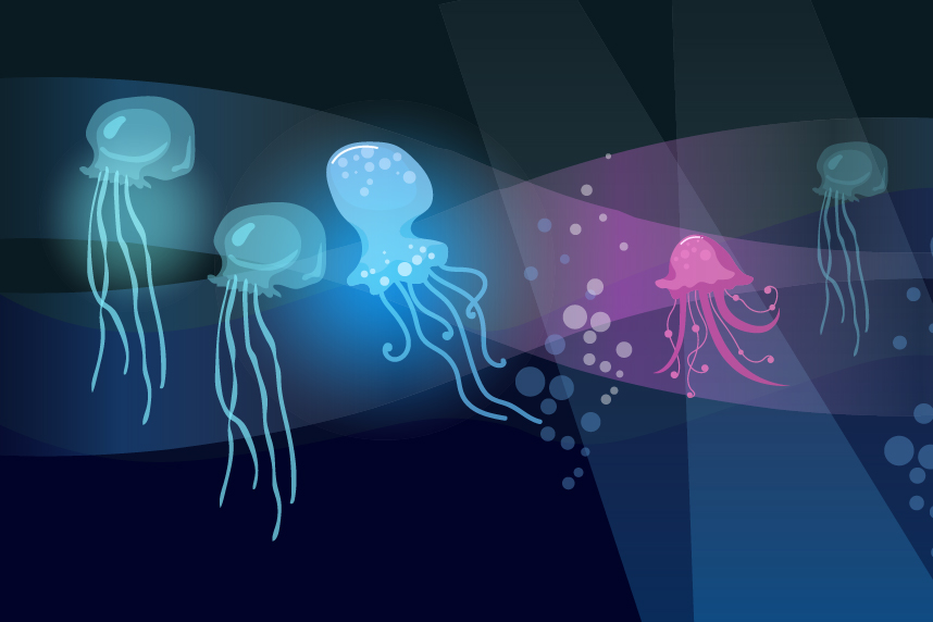 Illustration of colorful jellyfish