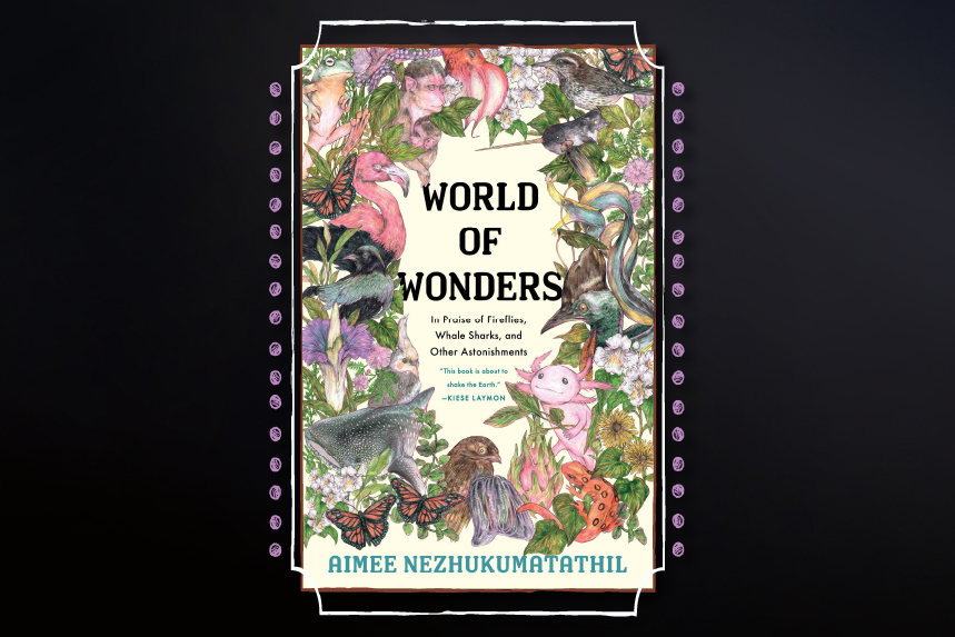 Cover: World of Wonders