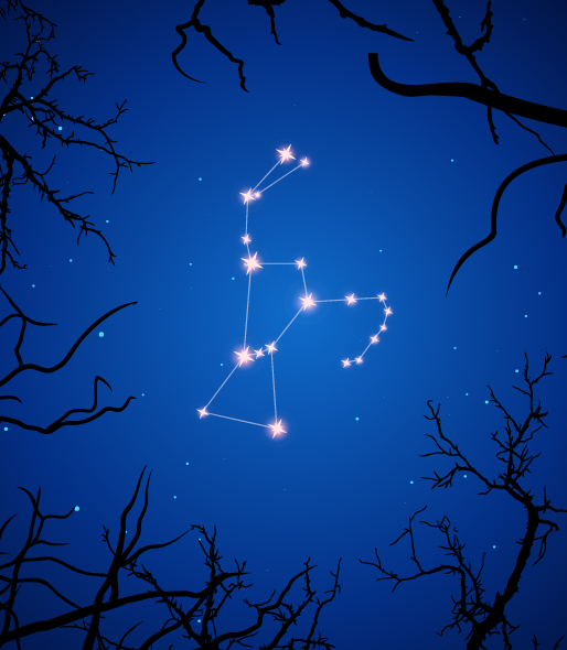 Illustration of the constellation Orion on blue night sky with tree branches