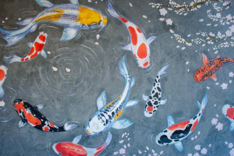 Watercolor of koi fish