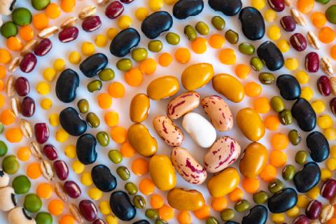 Colorful dried beans