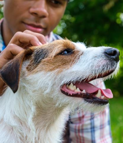 Teenager scratching dog on head