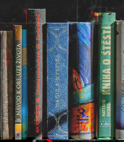 Row of books on a shelf