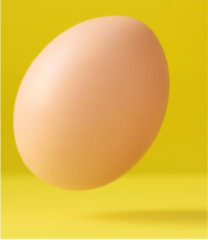 Photo of egg mid-air, close to crashing onto a yellow background