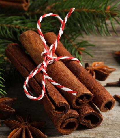 Cinnamon sticks tied with a red and white string, surrounded by pine branches