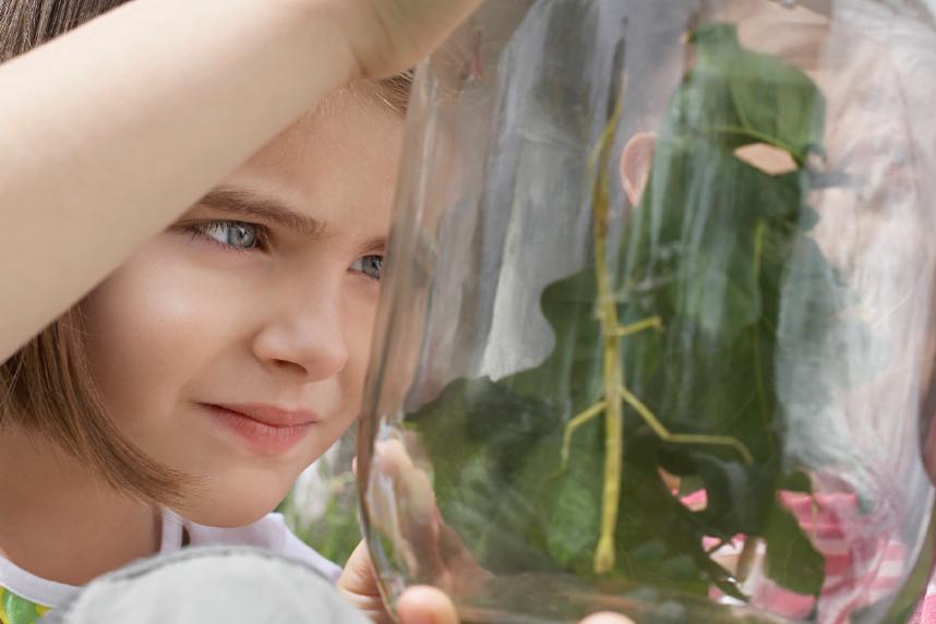 Girl looking at walking stick in a jar