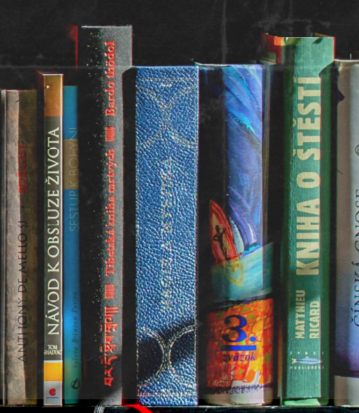 Row of books on a shelf