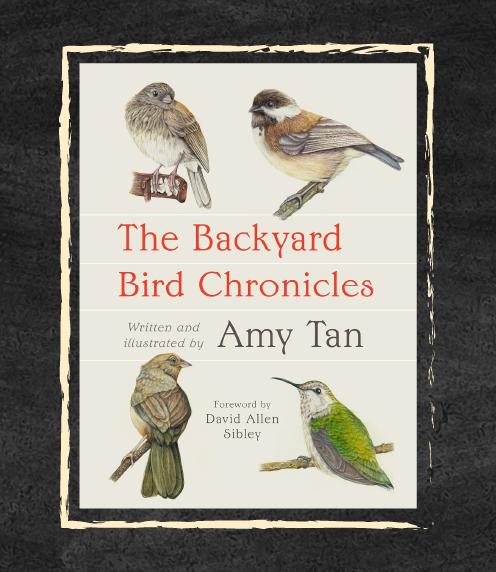 Cover: The Backyard Bird Chronicles