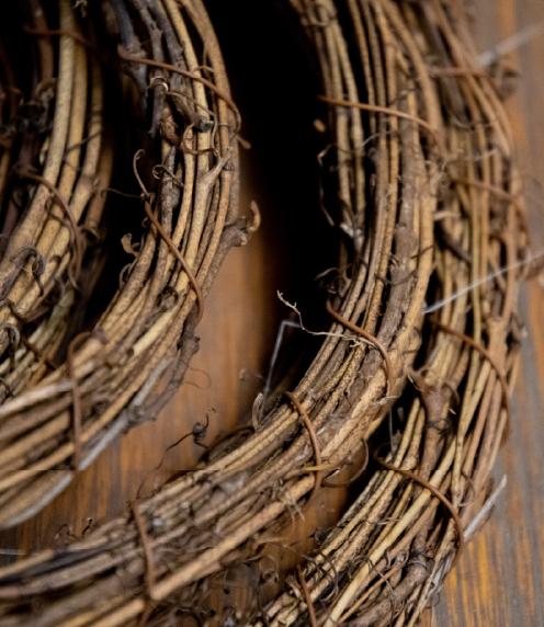 Close of dried grapevines in circular bundles