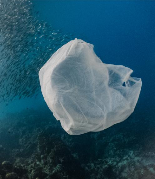 Plastic bag underwater, floating over a coral reef, with a school of fish behind it
